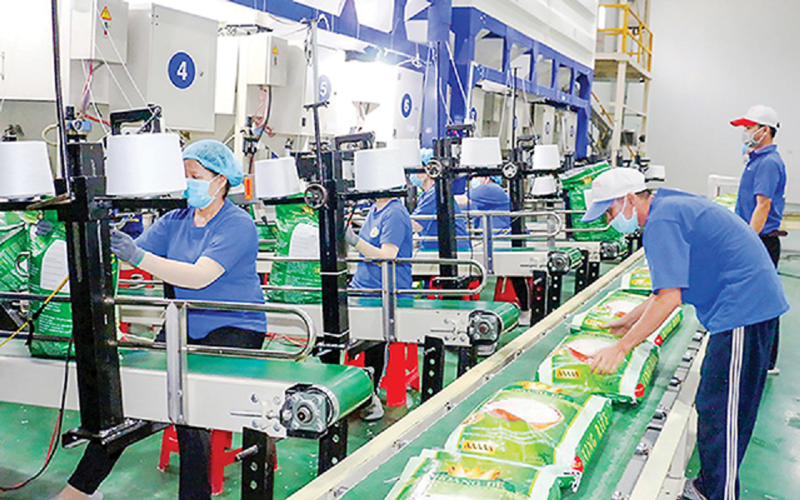 hang viet eu