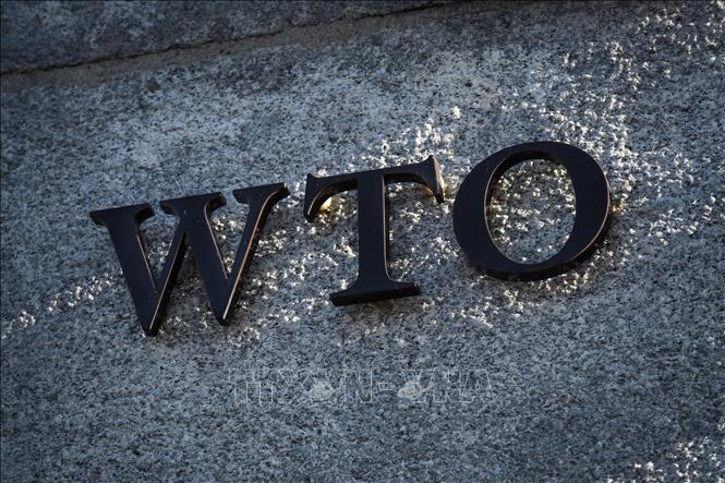 wto tq