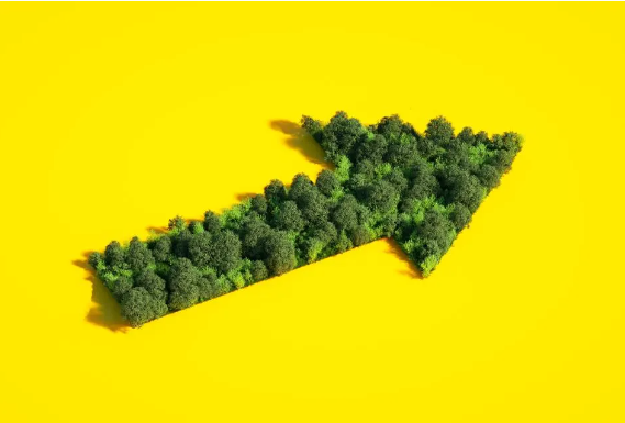 green economy