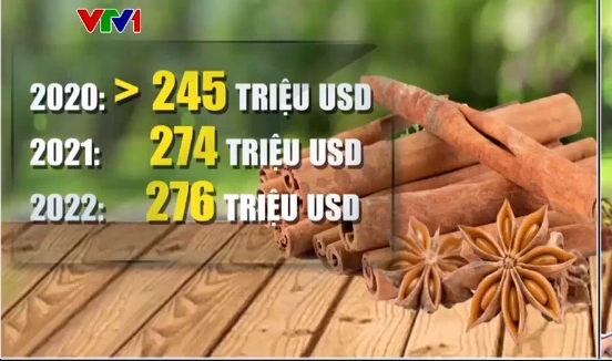 vn xuat khau gia vi