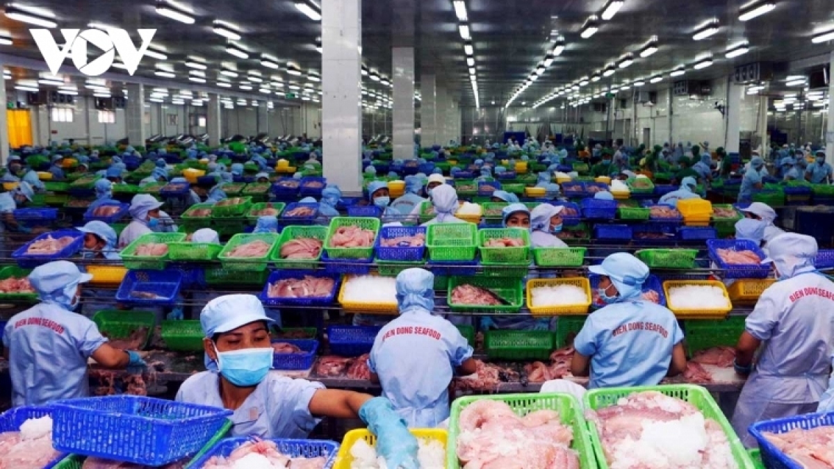 vov catra1