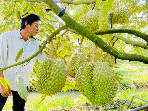 15 lam nong tu te can duoc dat trong tong the chuyen doi tu duy va phuong thuc kinh doanh nong nghiep xay dung dao duc kinh doanh