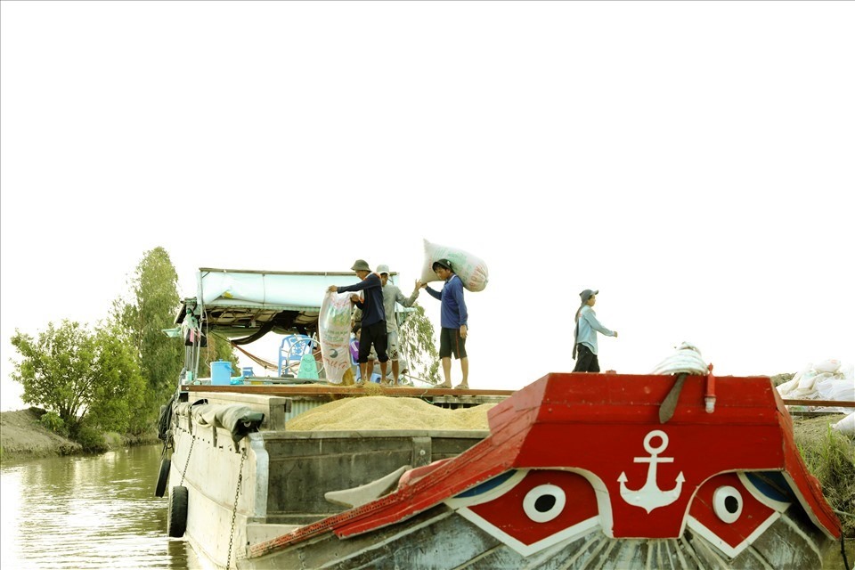 Xuat Khau Gao 4 T Lo