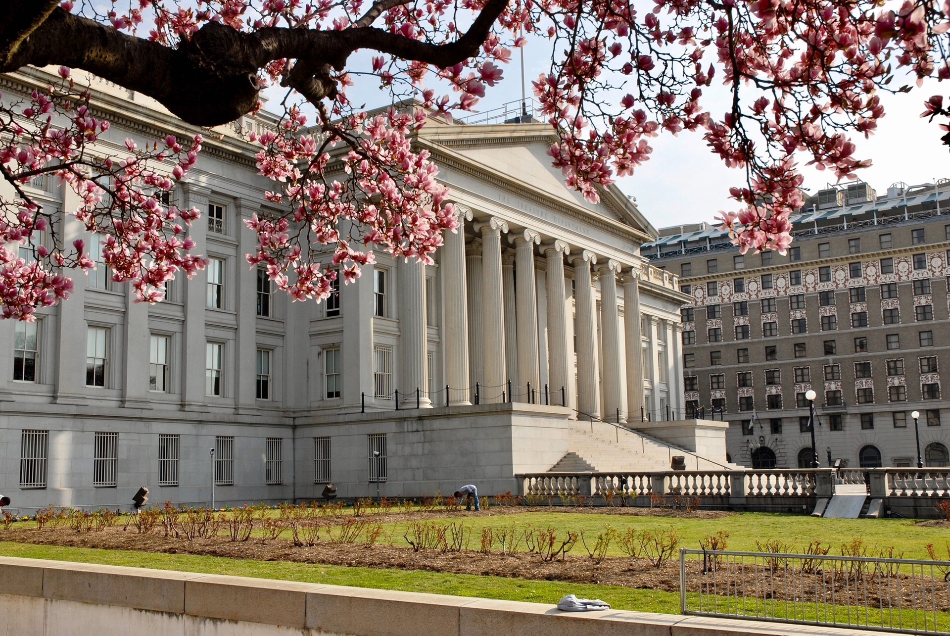 hero2023 Treasury cherryblossom