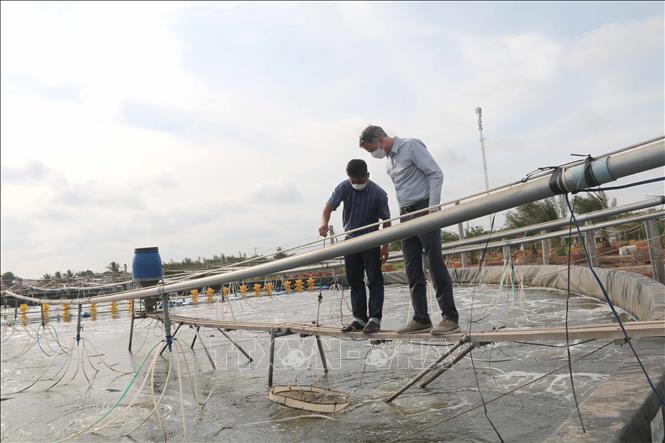 nuoi tom tra vinh 2552023