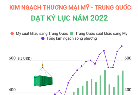 my trung 100223 a