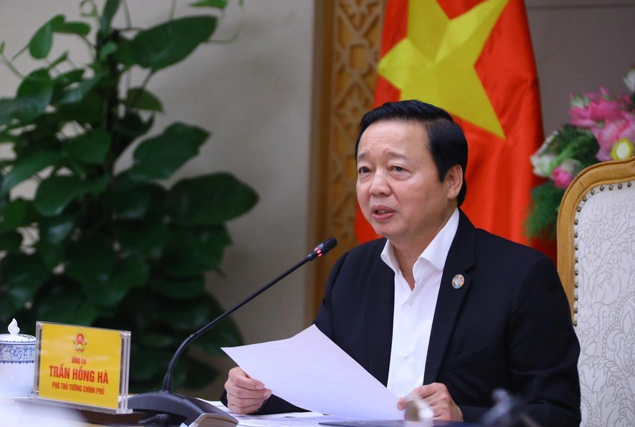 tang truong xanh