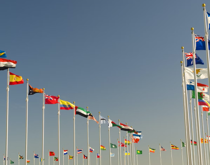 wto