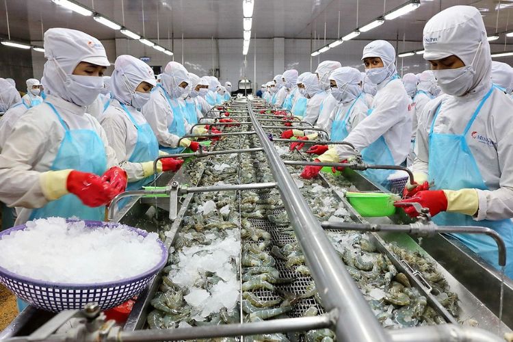 kien nghi bo han ngach doi voi tom xuat khau sang han quoc