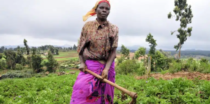 agriculture