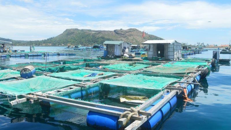 nuoi trong thuy san
