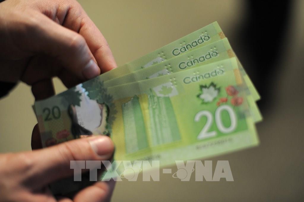 135603 ngan hang trung uong canada co nguy co lo hang ty cad trong nhung nam toi