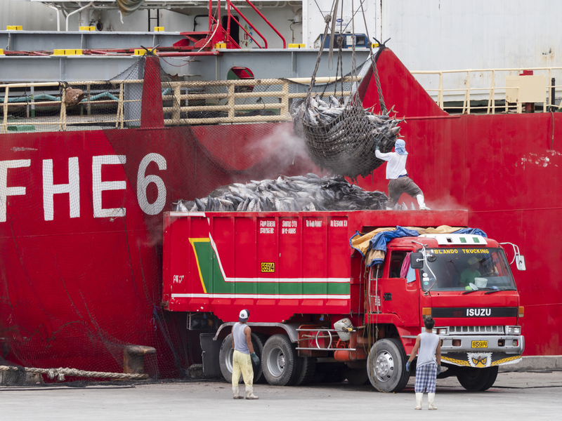 General Santos City The Philippines October 16 2018 Frozen yellowfin tuna being loaded onto a truck from a feeder ship at the fishing port of General Santos City Tuna Capital the Philippines