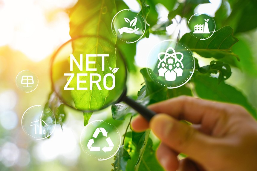 net zero4 5926