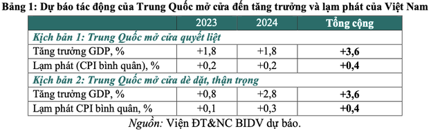 tq vn7