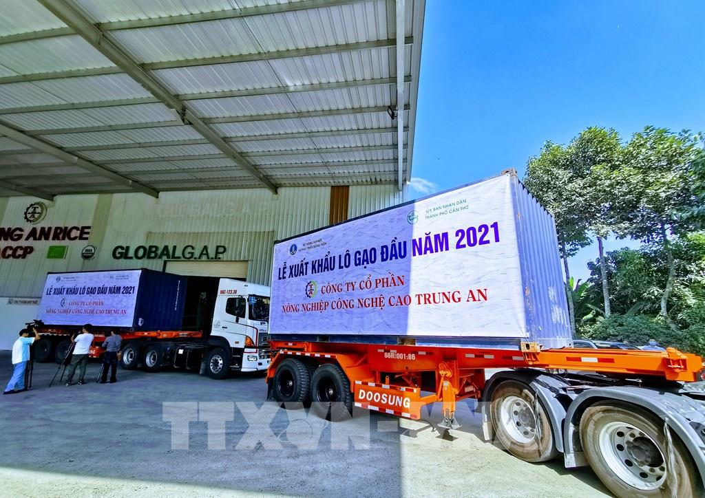 xuat khau lo gao dau nam 2021 15.3.21