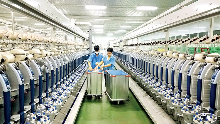 det may tan dụng uu dai 28.4.21