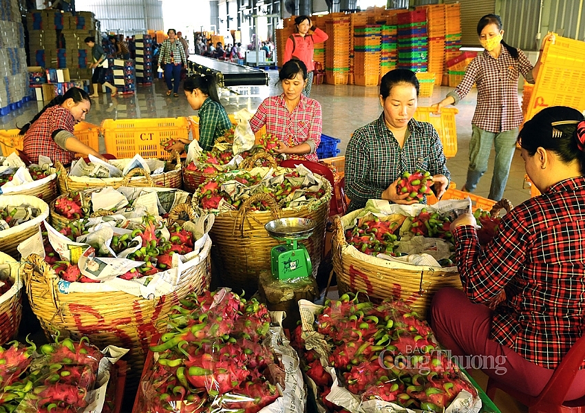 xuat xu hang hoa ACFTA 8.4.21