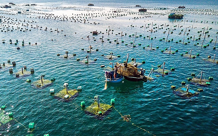 nuoi trong thuy san VN Na Uy 24.5.21