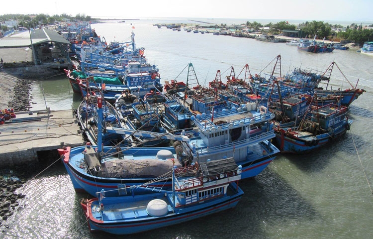 iuu 15621