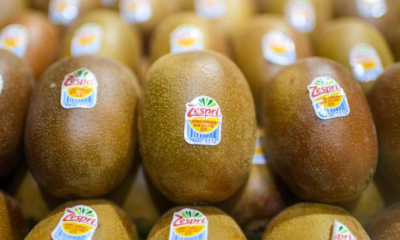 kiwi1 tq new zealand 25621