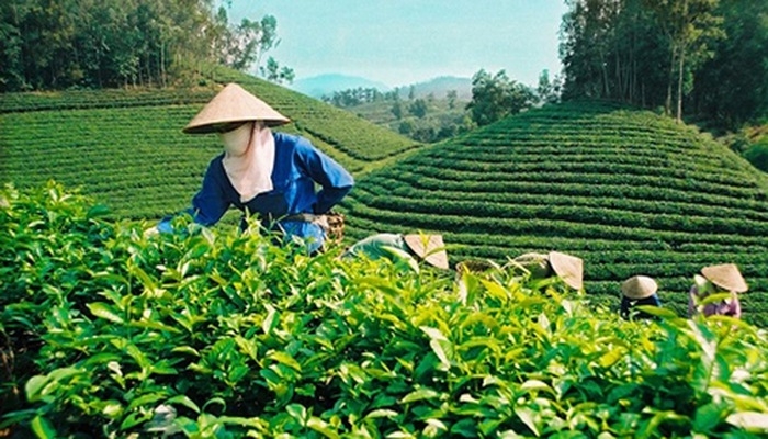 gioi han du luong thuoc bao ve thuc vat eu