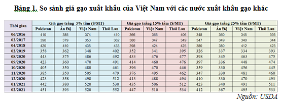gao vn thai o tq3