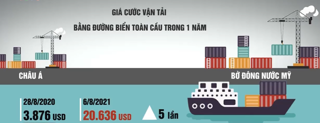cuoc van tai1