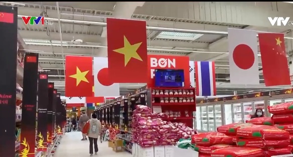 vn phap