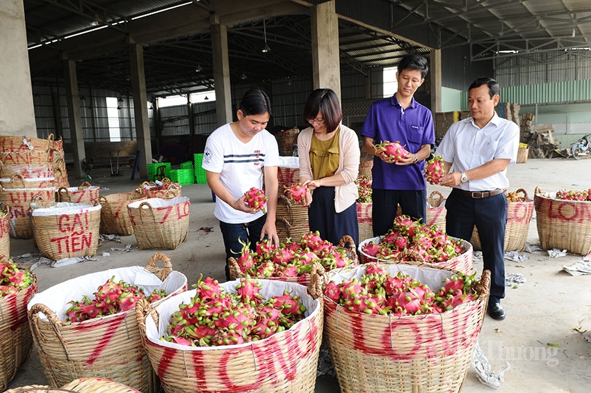 xuc tien thuong mai