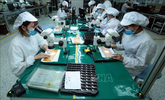 vn chuoi cung ung dna