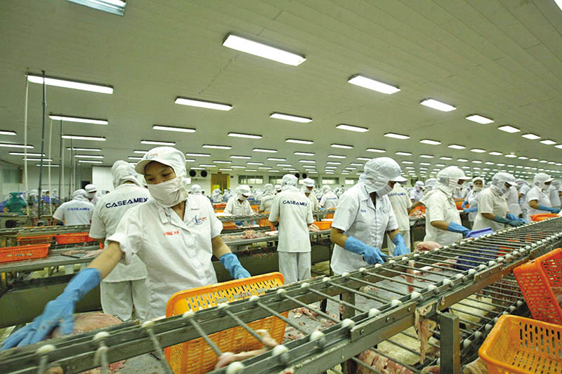 dn