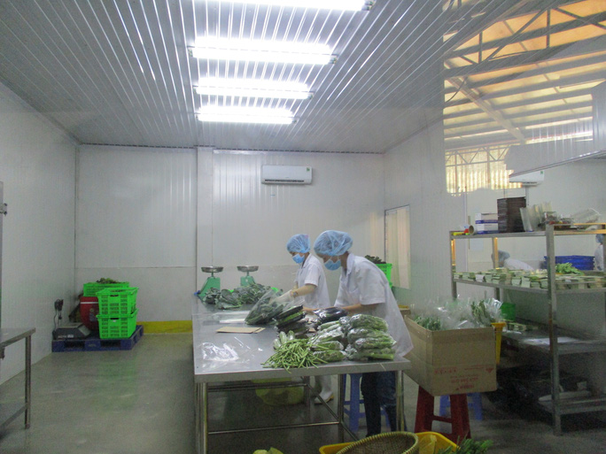 tang truong xanh