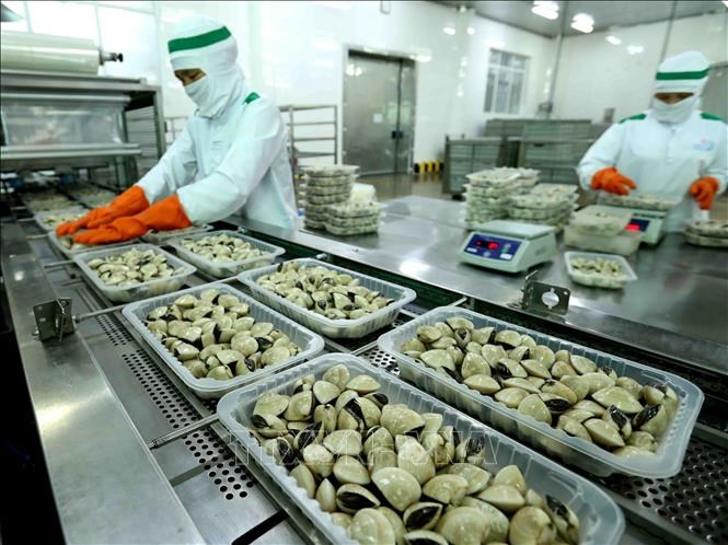xk thit ngao