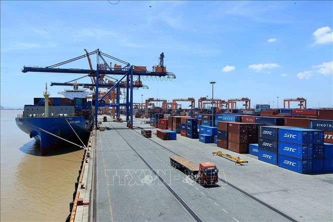 imo kinh te hang hai