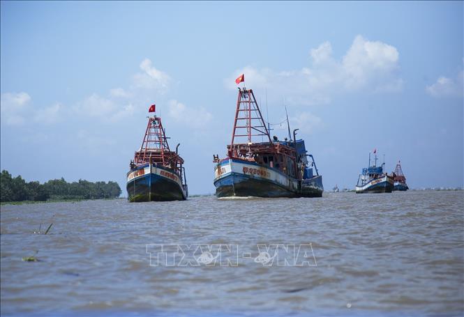 khai thac bat hop phap kieng giag
