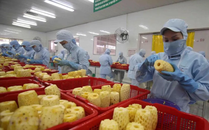 15 nhung 17.04.2025