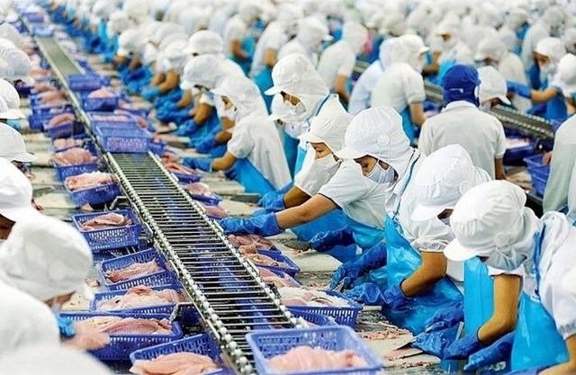 xuat khau thuy san sang eu nam bat co hoi tu evftad2787 EFSV