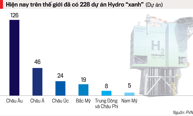 bd t12 13