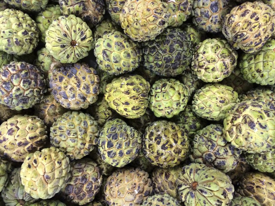 mangcauta tqps