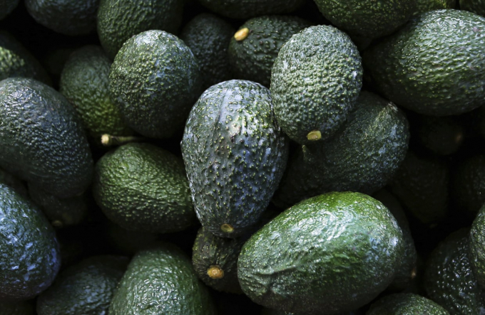 220213 mexico avocados jm 1239 78b1a0 160329 510