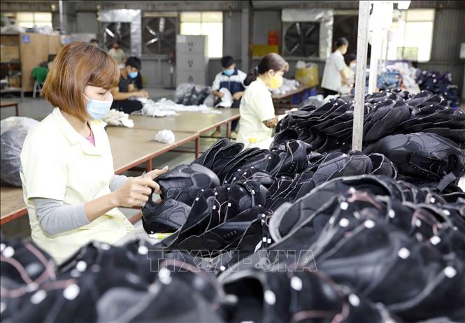 xuat khau vn 14022022
