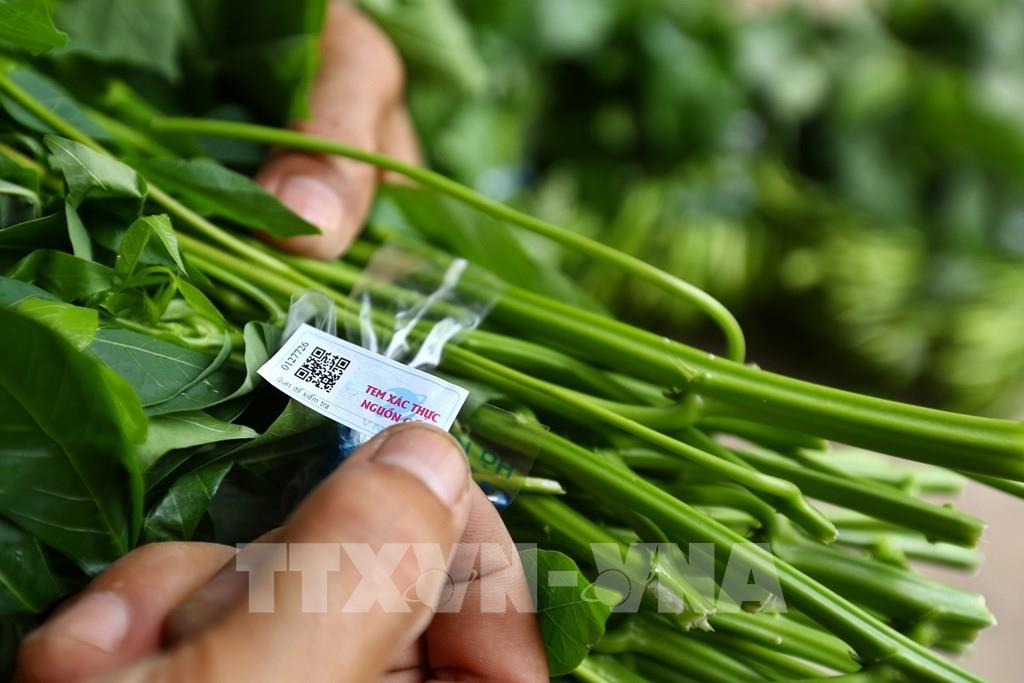 081853 vnpt check giai phap cong nghe xac thuc nguon goc hang hoa