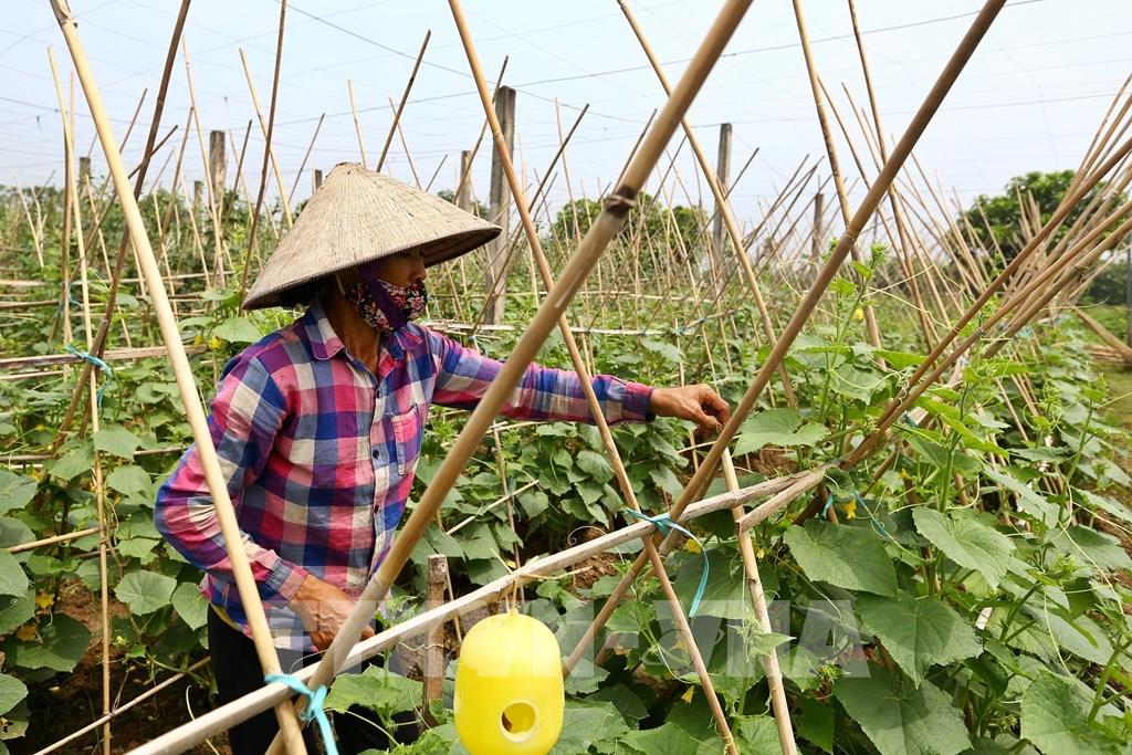 082518 vnpt check giai phap cong nghe xac thuc nguon goc hang hoa