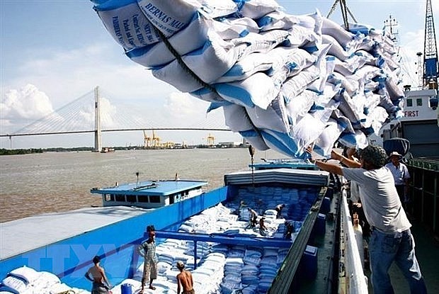 chau phi thi truong xuat khau nong san nhieu tiem nang cua viet nam