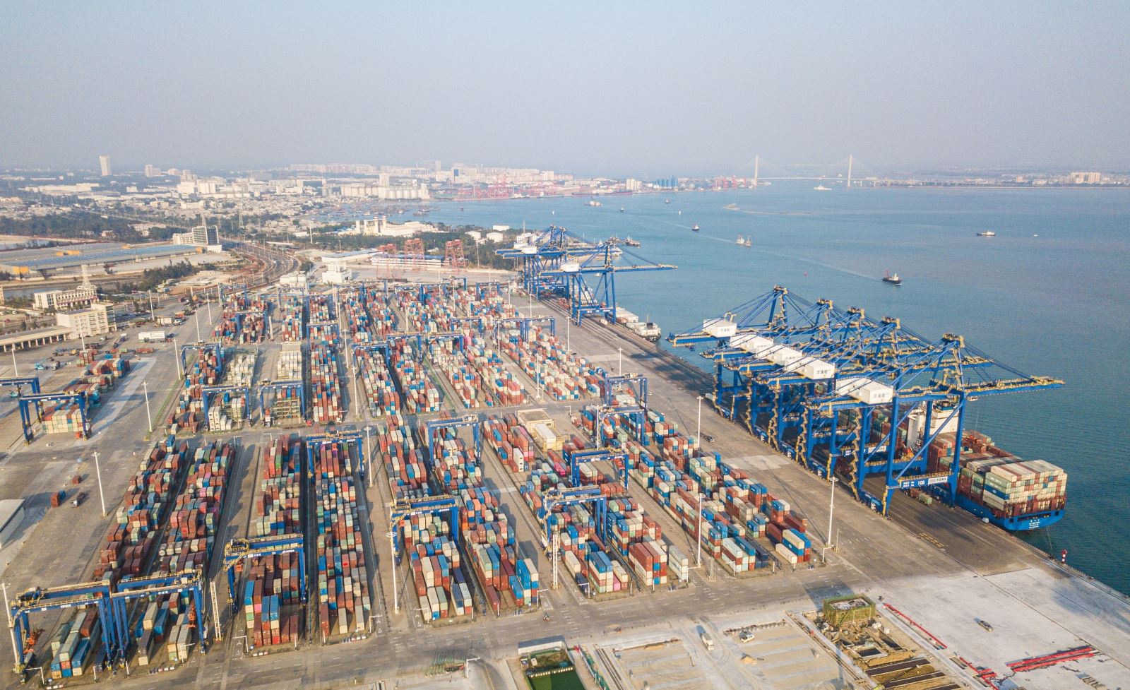vna potal wto giam du bao tang truong thuong mai hang hoa toan cau nam 2025 7976924