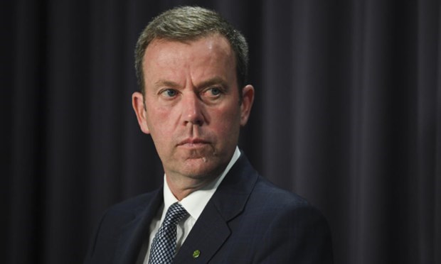 dan tehan