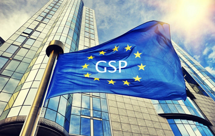 2804 gsp