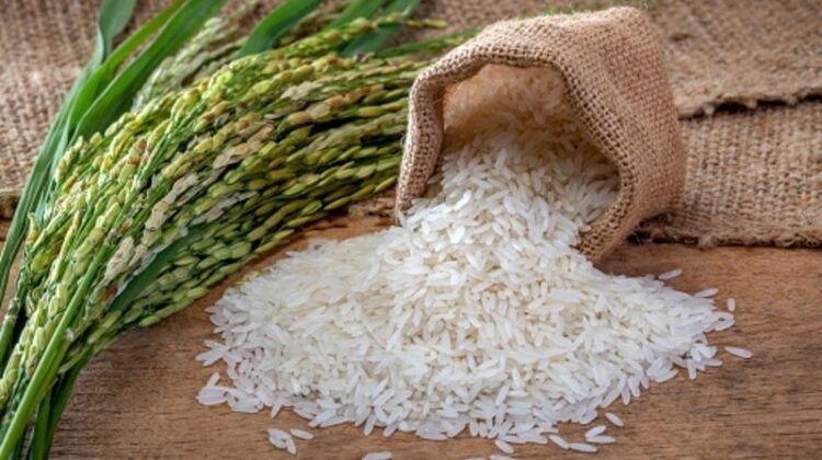 legacy vs price rice exports from vietnam and india vie for asean trade post covid 19 750x420 9387