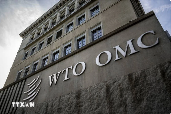 wto 1730780104